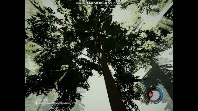THE FOREST ЛЕТСПЛЕЙ НА 50 ПОДПИСЧИКОВ ВЫЖИВАЕМ КАК МОЖЕМ.... смотреть онлайн