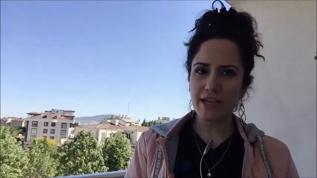 Past Perfect Tense, Negative Sentences and Yes/No Questions смотреть онлайн