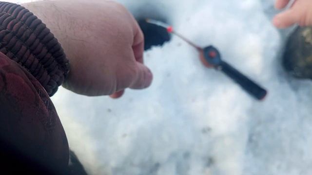 18 февраля ходил на волгу на тоже затон сарога кивок гнула только успевай дергать смотреть онлайн