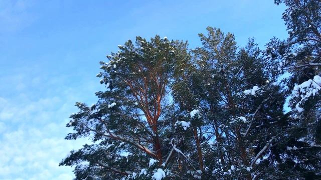 Истории из жизни Решила разоблачить мужа в измене и установила скрытую камеру но то что она выяснил смотреть онлайн