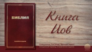 Книга Иова. Глава 30
