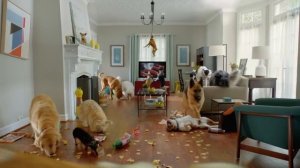 Dog #Party - собачья вечеринка на полу Pergo.