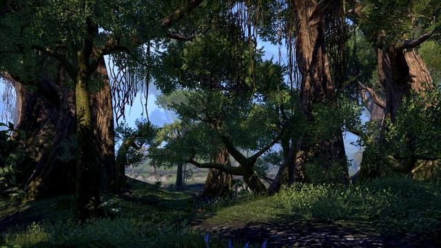 Что интересного в ВАЛЕНВУДЕ ? Босмеры-каннибалы и многое другое | TES Лор смотреть онлайн