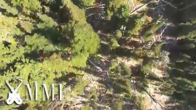 Música celta irladensa gaitas, tambores, violin y flauta instrumental смотреть онлайн