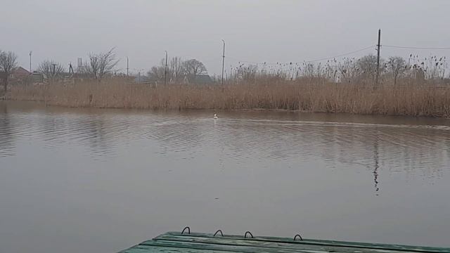 ВЛОГ.Вчера и сегодня был просто замечательный день