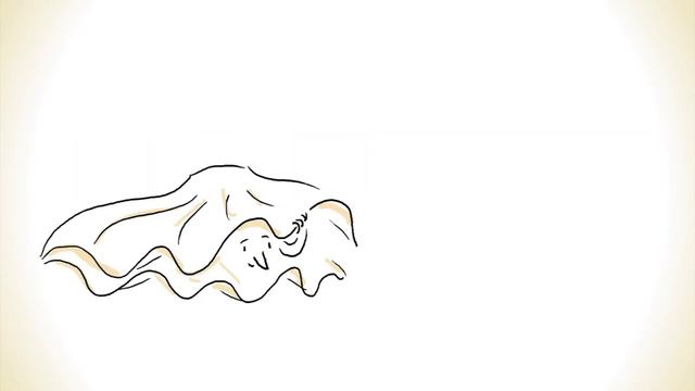 Почему мы любим? Философское исследование | TED-Ed