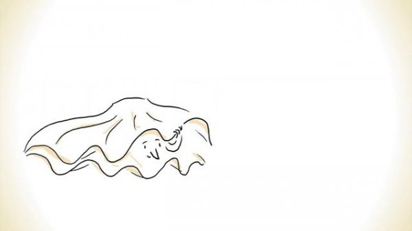 Почему мы любим? Философское исследование | TED-Ed