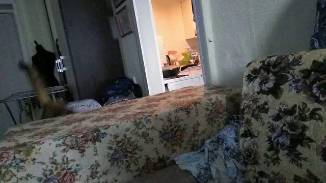 РукоДелие МоЕ ?⚒?✂ смотреть онлайн