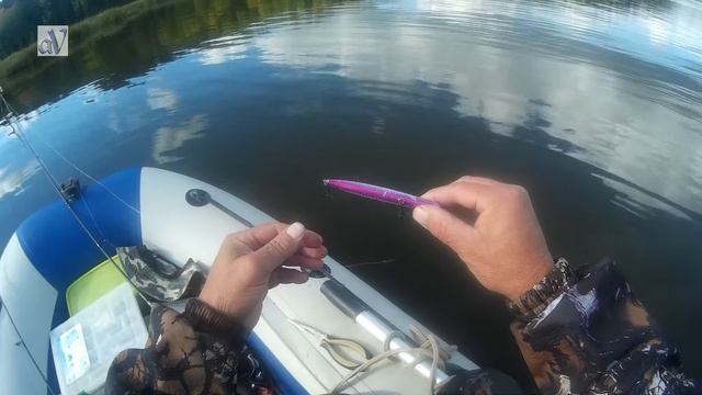 Танта рулит?Хорошие ОКУНИ на микроджиг 4гр? смотреть онлайн