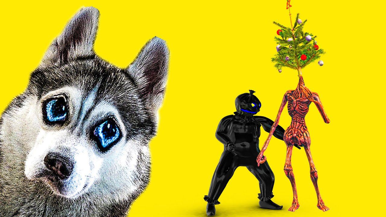 ГРОХНУЛИ ЕЛКОГОЛОВОГО!! ВСЕМ МОНСТРАМ SCP КОНЕЦ!! (Хаски Бандит) Говорящая собака смотреть онлайн