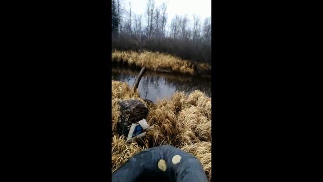 Первый выход к избушке. смотреть онлайн