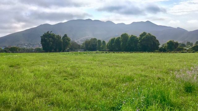 Bohemian Rapsody | Freddie Mercury | Instrumental 🎷 смотреть онлайн