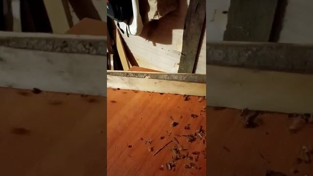 Катаем клюкву смотреть онлайн
