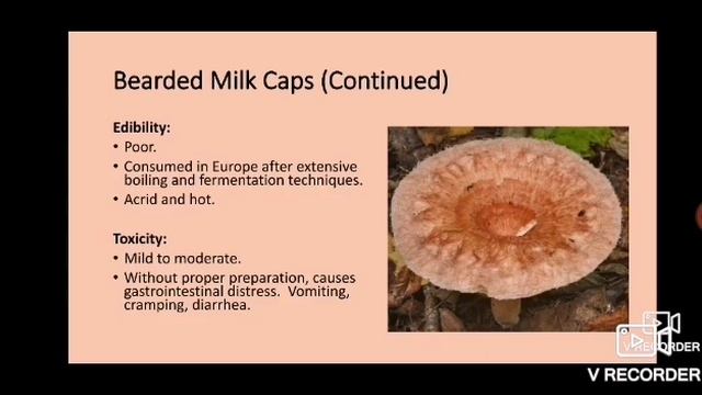 The MW - Dangerous Delicacies of Saskatchewan смотреть онлайн