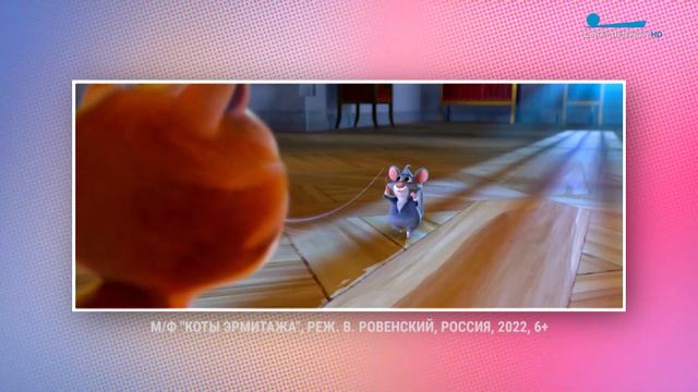 Самые известные котики Северной столицы