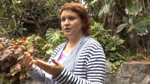 МИФ № 8 Почему продукт не продается в обычных магазинах смотреть онлайн