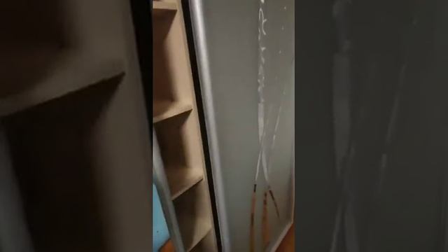 Шкаф купе с пескоструем