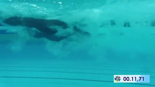 Плавание в классических ластах, 100 м Мужчины смотреть онлайн