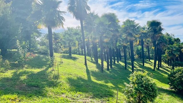 Биология 5 класс (Пасечник) аудио Параграф 5 Среды обитания организмов смотреть онлайн