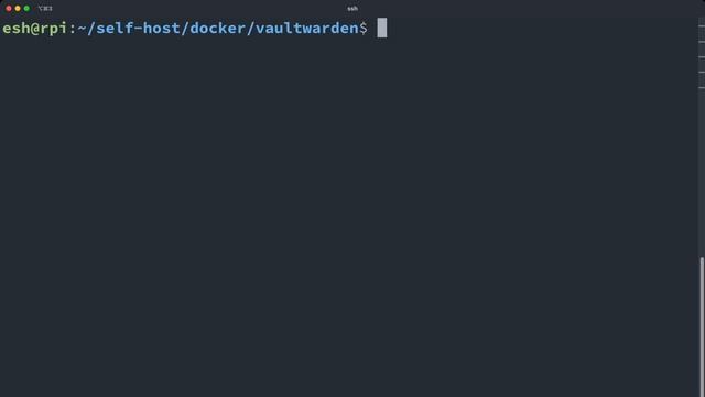 Run password manager ourselves - better privacy and convenience смотреть онлайн