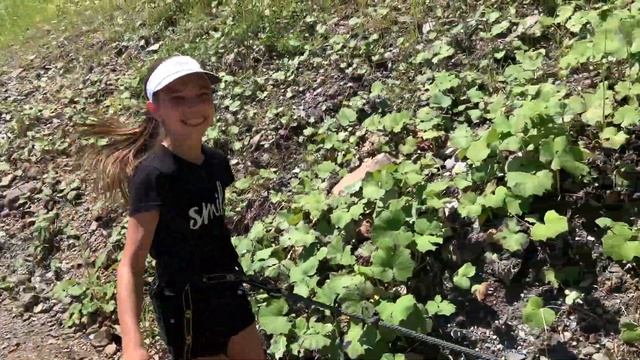 Иллюзии Зрения