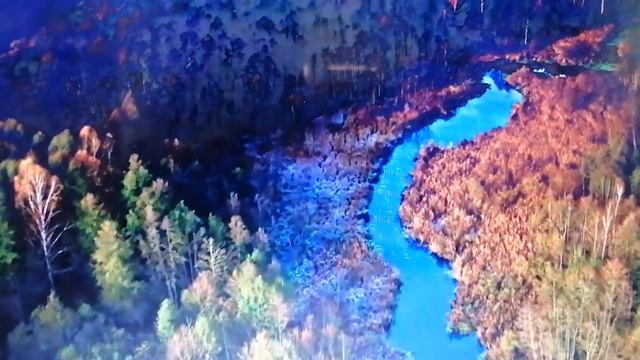 Чем ты сегодня напитаешь свою душу? Стихи Анна Хоровская смотреть онлайн