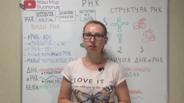 РНК. Строение, виды и функции.