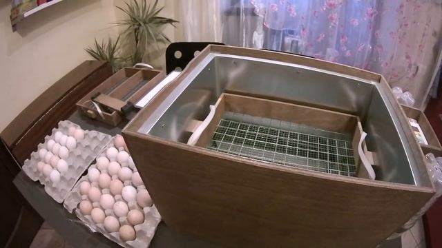 Анонс. Закладка куриных яиц в инкубатор.