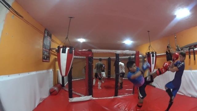 тренировка СК "Спарта-Карат 777" Чугуев мма смотреть онлайн