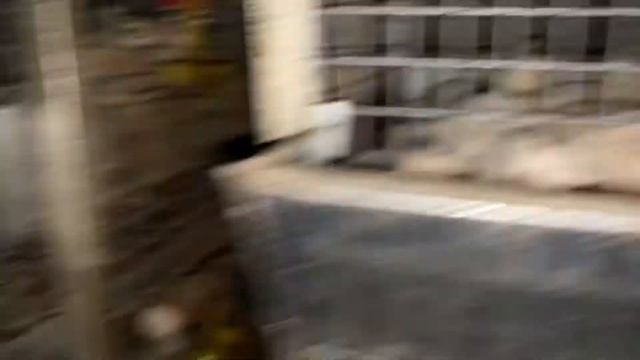 Шок!!! Крысы совершают набеги в перепелятник. Оставляем Белый Гигант и Техасский Бройлерный перепел смотреть онлайн