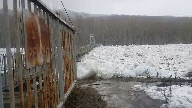 Ледоход ломает деревья как спички Уба смотреть онлайн
