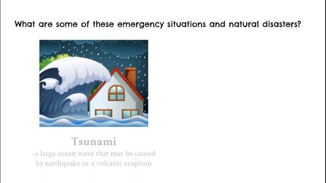 Safety Guidelines during Disasters and other Emergency Situations смотреть онлайн