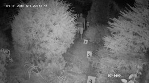 Hiwatch DS-I400 4 мм. Пример записи с ip камеры ночью