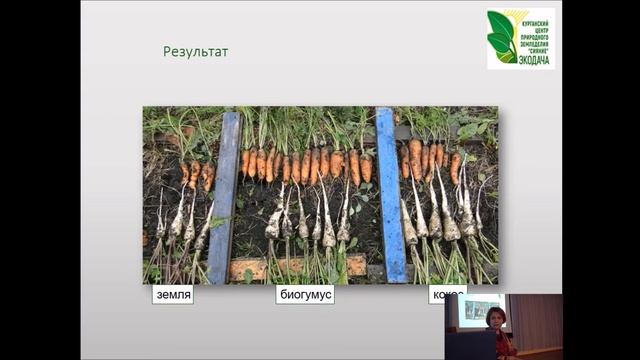 Морковь и другие корнеплоды. смотреть онлайн
