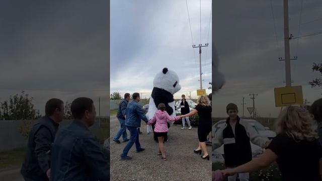 Поздравление с днем рождения от панды 🐼🎉🥳🎊❤️ смотреть онлайн