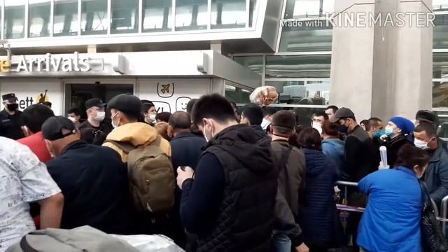 санкт-петербург Пулково 1 Узбекистан Хаво Йуллари смотреть онлайн