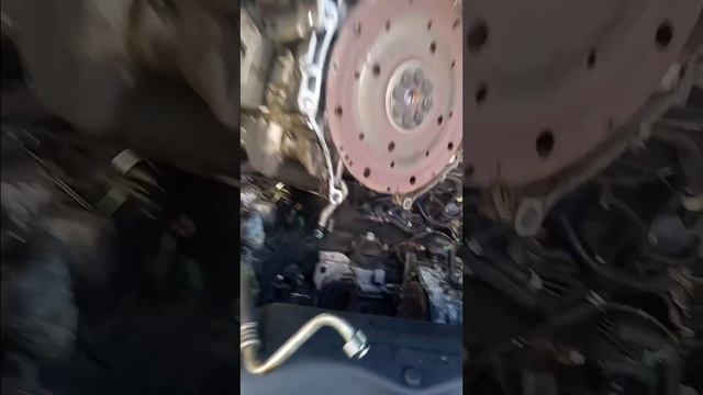 2004 Acura Tl Engine Replacement