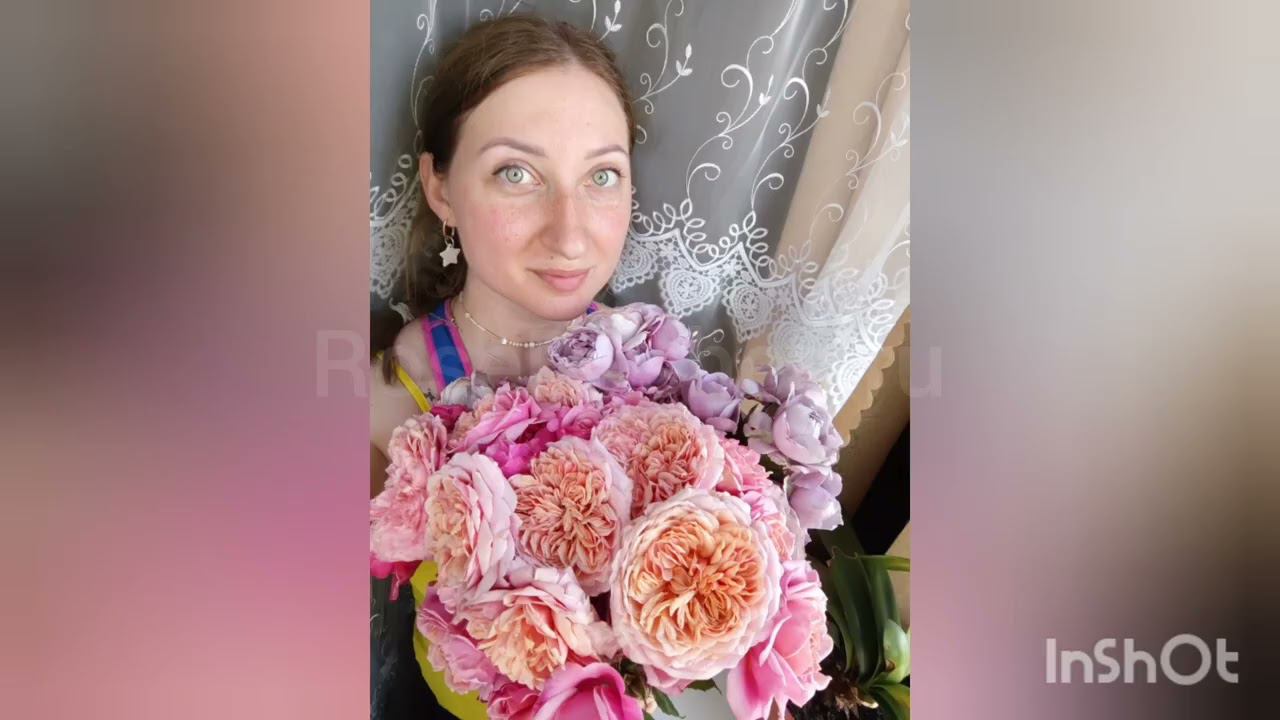 Розочки нашего Личного Подсобного Хозяйства "РОЗЫ БУШЕС" от Ксении ☺️ описание и характеристики РОЗЫ смотреть онлайн