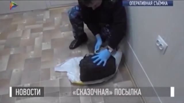В ИК 41 предотвратили поставку 50 телефонов Мой Город смотреть онлайн