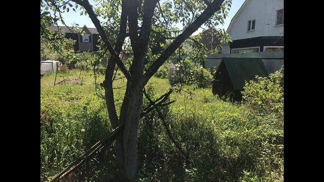 СНТ "Садко" смотреть онлайн