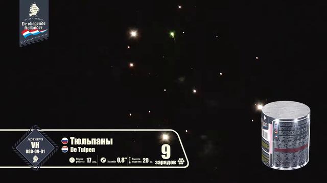 VH080-09-01 Тюльпаны смотреть онлайн