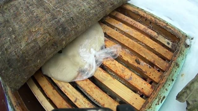 Необходимость весенней обработки от клещей Варроа. смотреть онлайн