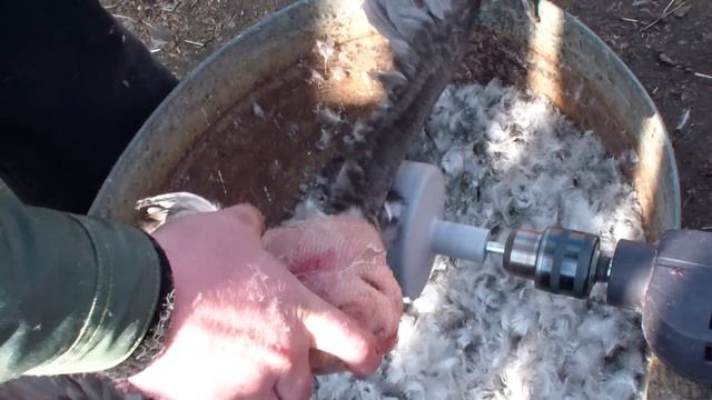 Как ощипать утку за три минуты при помощи насадки. смотреть онлайн