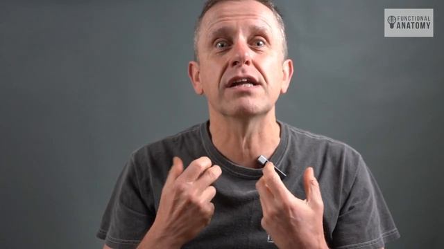 Anatomy of Sternocleidomastoid - SCM смотреть онлайн