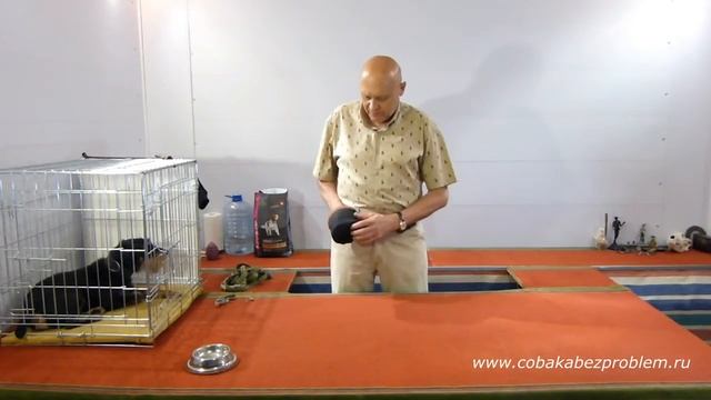 Как научить собаку. Сумка для дрессировки собак