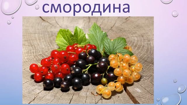 Стихи про лесные и садовые ягоды смотреть онлайн
