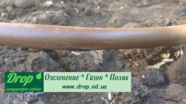 Капельный полив растений в Одессе
