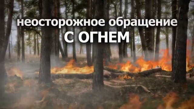 Причины природных пожаров смотреть онлайн