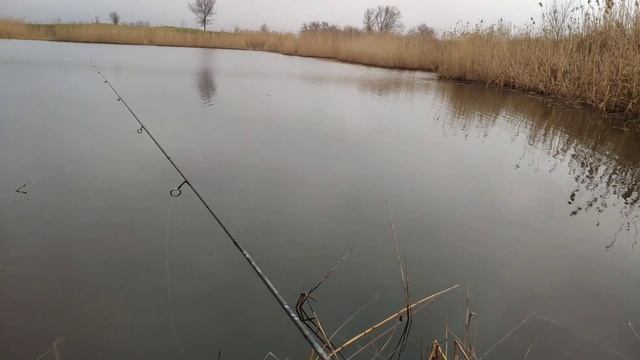 Мормышинг.Тарань на спиннинг.neoline 0.1-2.Супер клёв ? смотреть онлайн