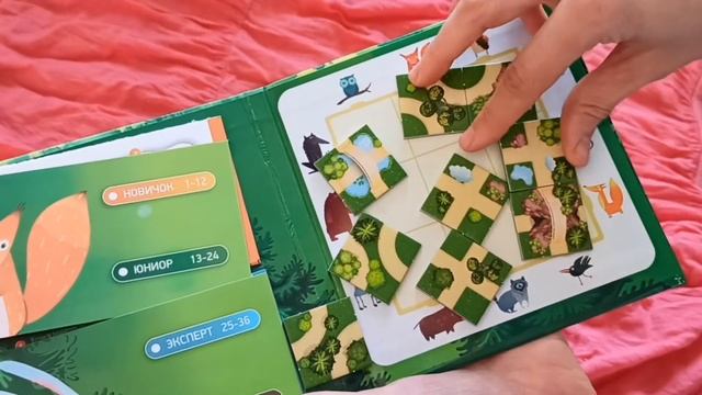 Настольная игра «Лесные гости. Найди верный путь» [Видео-обзор] | Магнитная головоломка смотреть онлайн